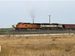 BNSF 5029/9673